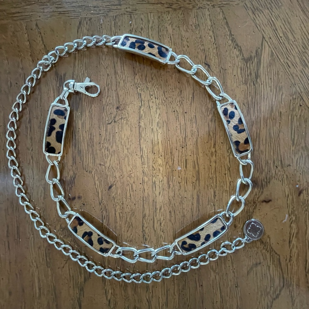 Brown and Gold Ornate Belt Accessory